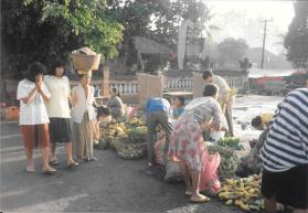 901226 ubud 2