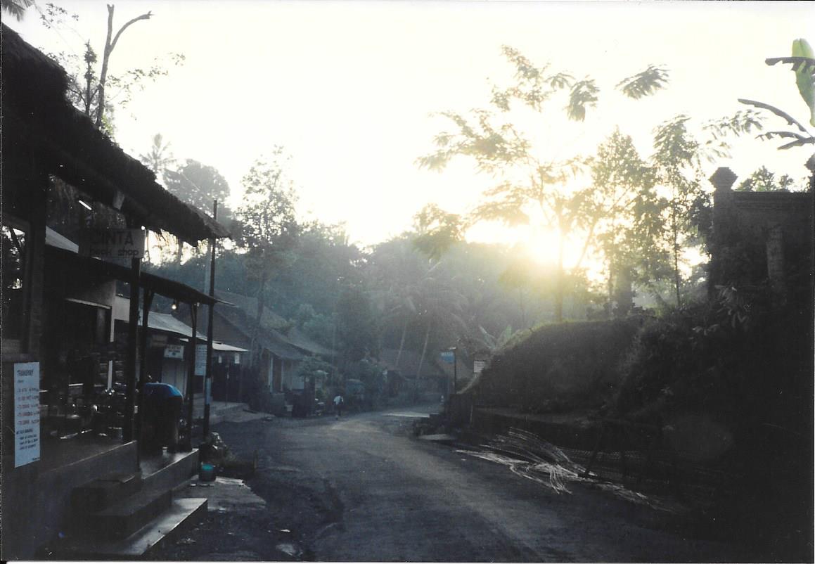 901226 ubud 3