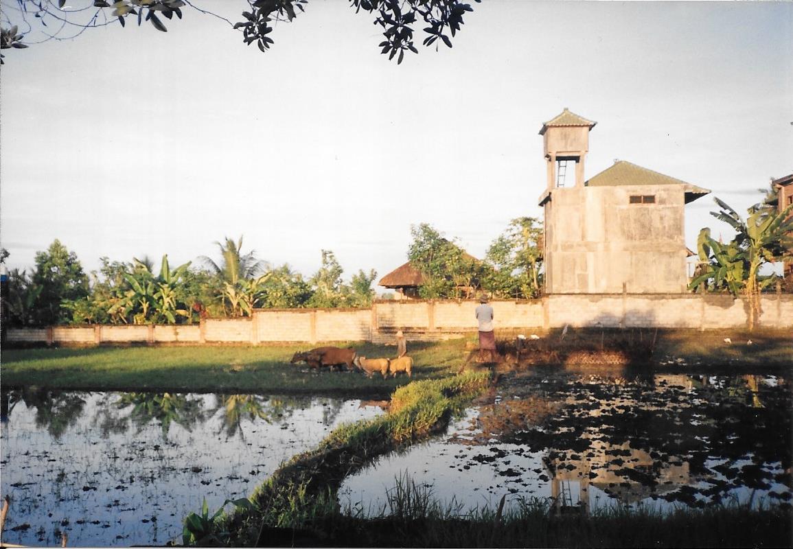 901226 ubud