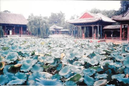 910924 Summer Palace Beijing