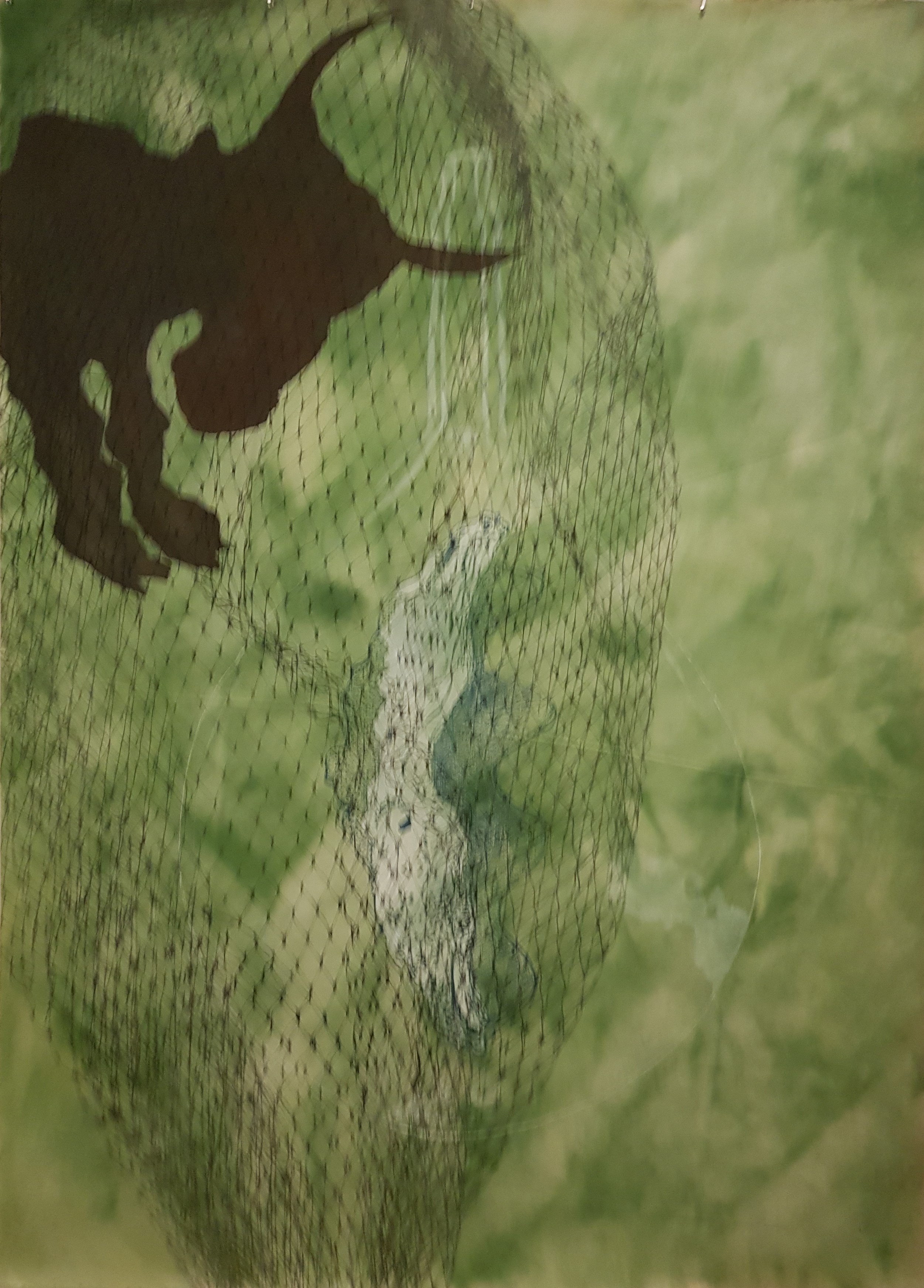 Judy Watson in the shadow of goya's bull 2011