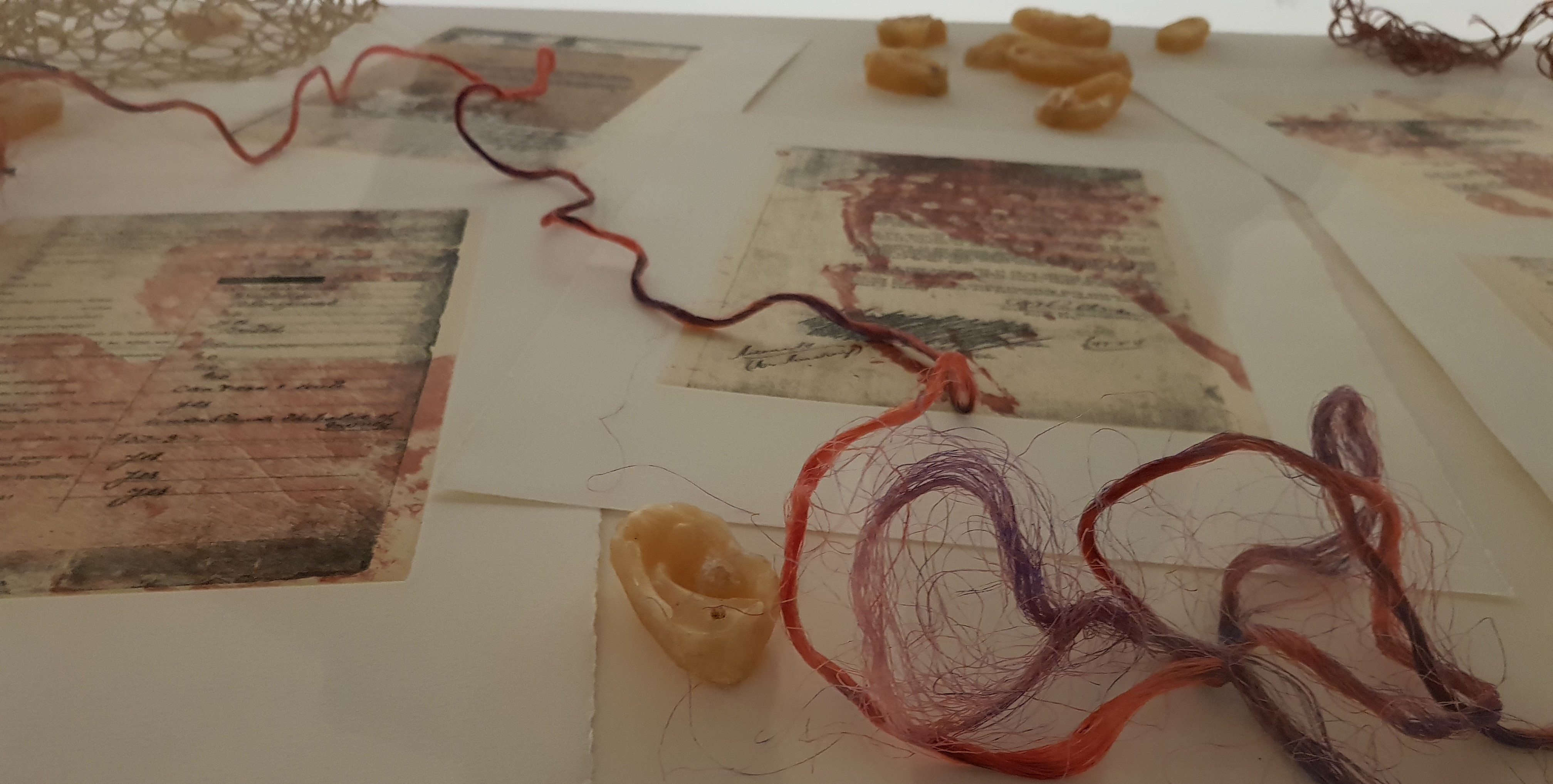 Judy Watson Installation 3