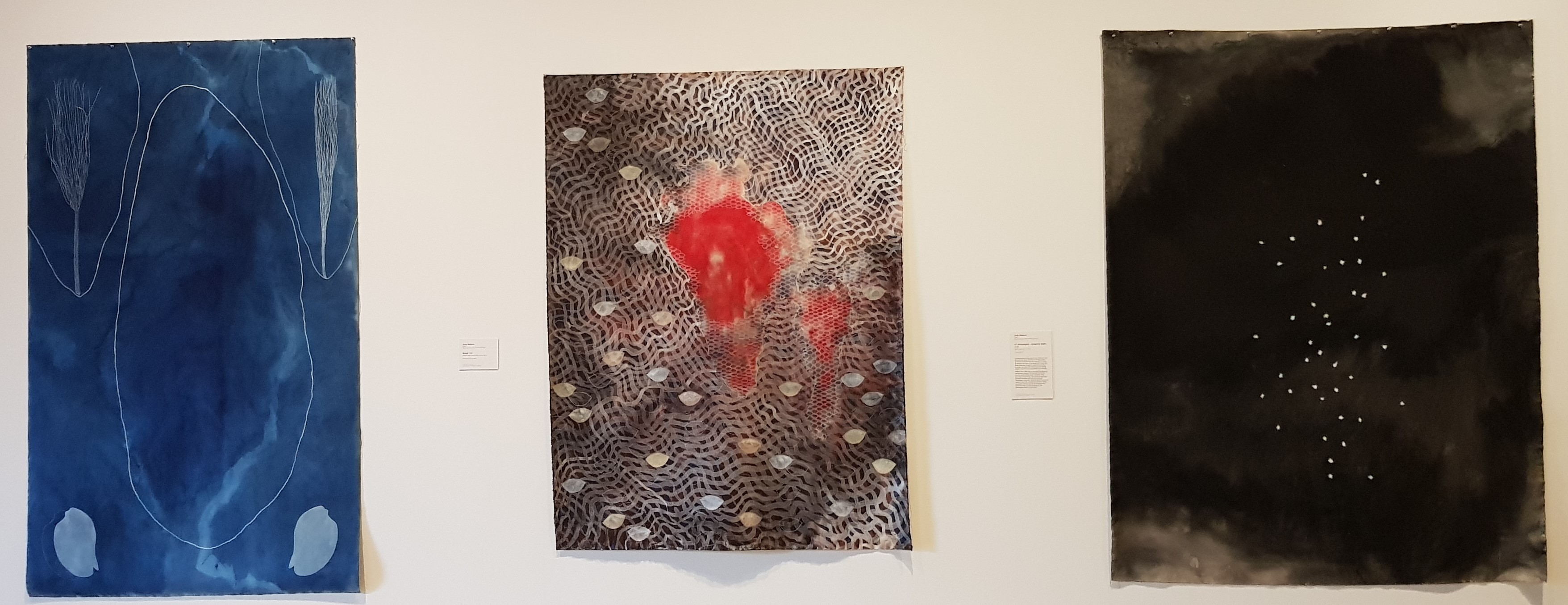 Judy Watson Installation 5
