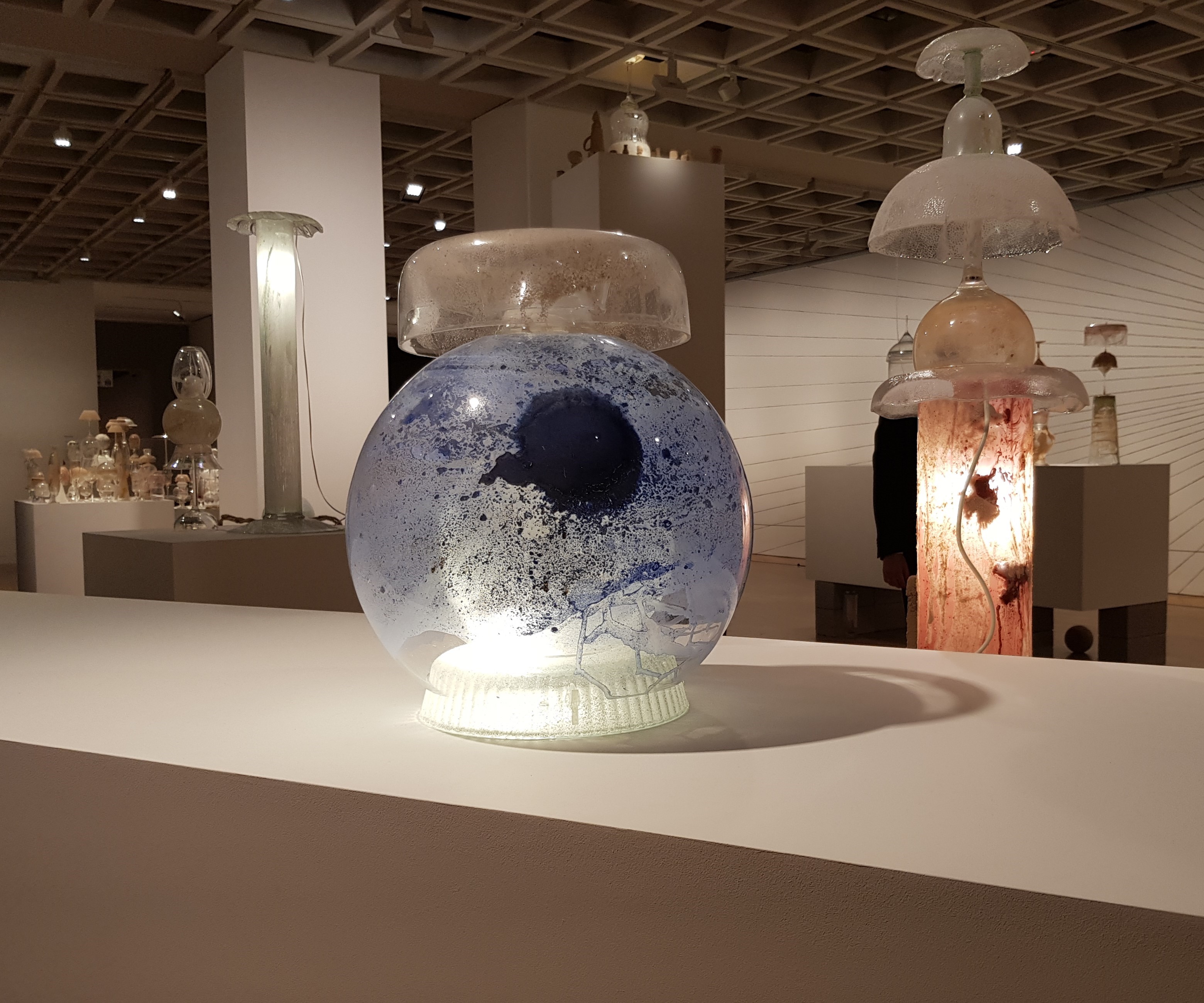 Koji Ryui, TOT 2018-19 4