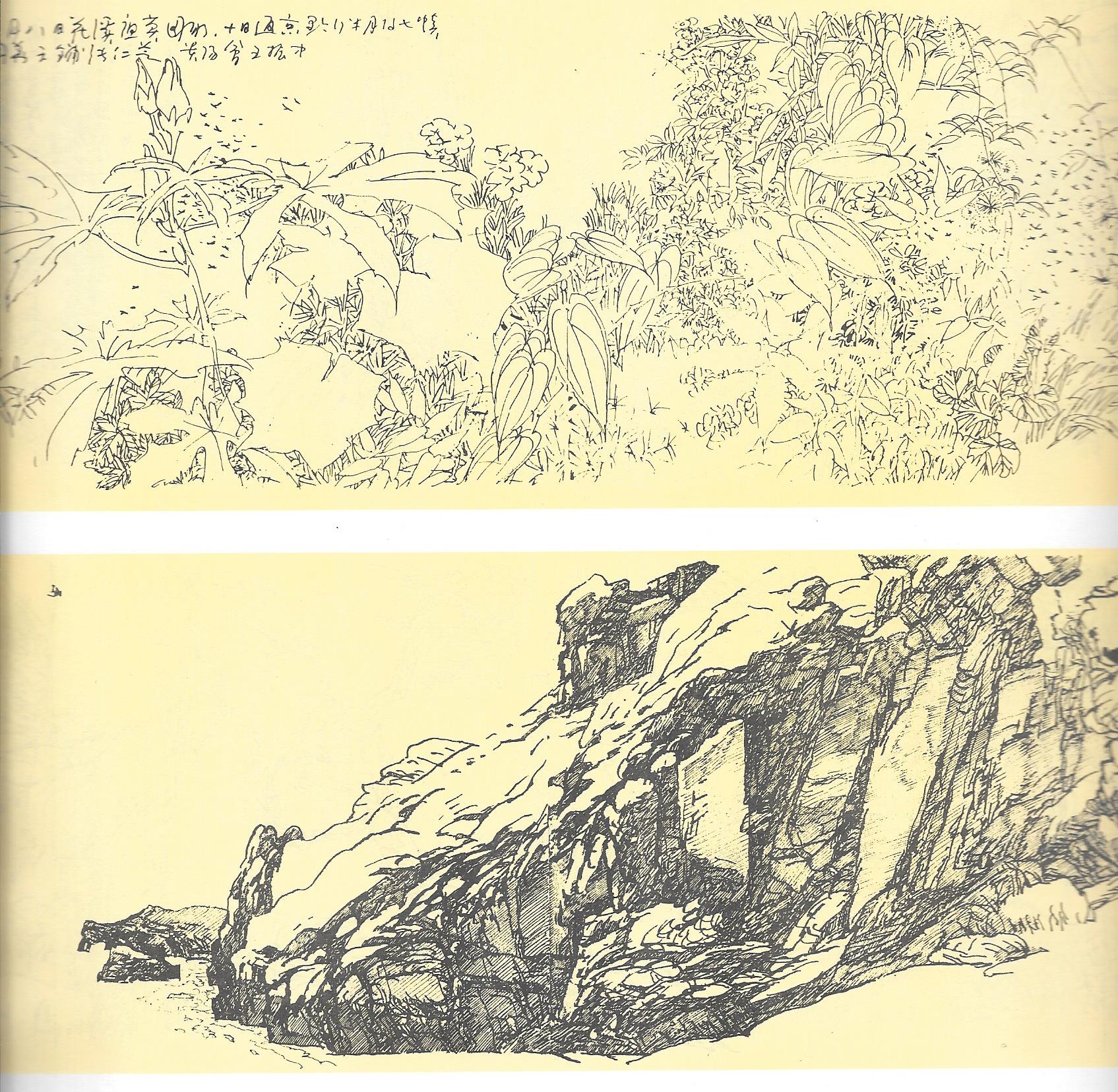 z Jaw Ning Au drawings