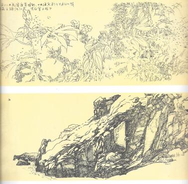 z Jaw Ning Au drawings