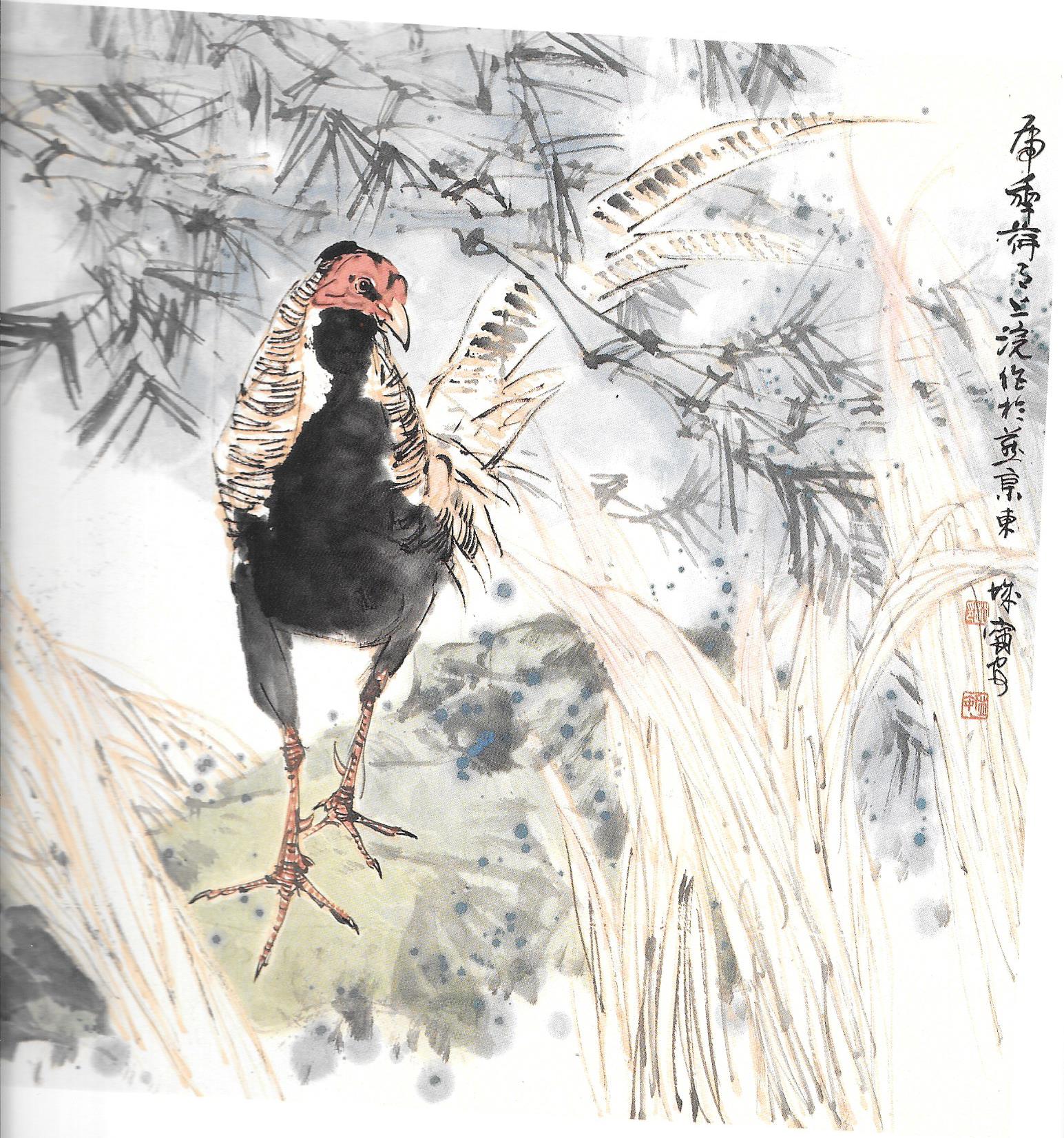 z Jaw Ning Au pheasant