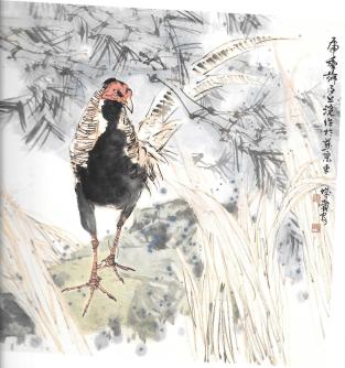z Jaw Ning Au pheasant