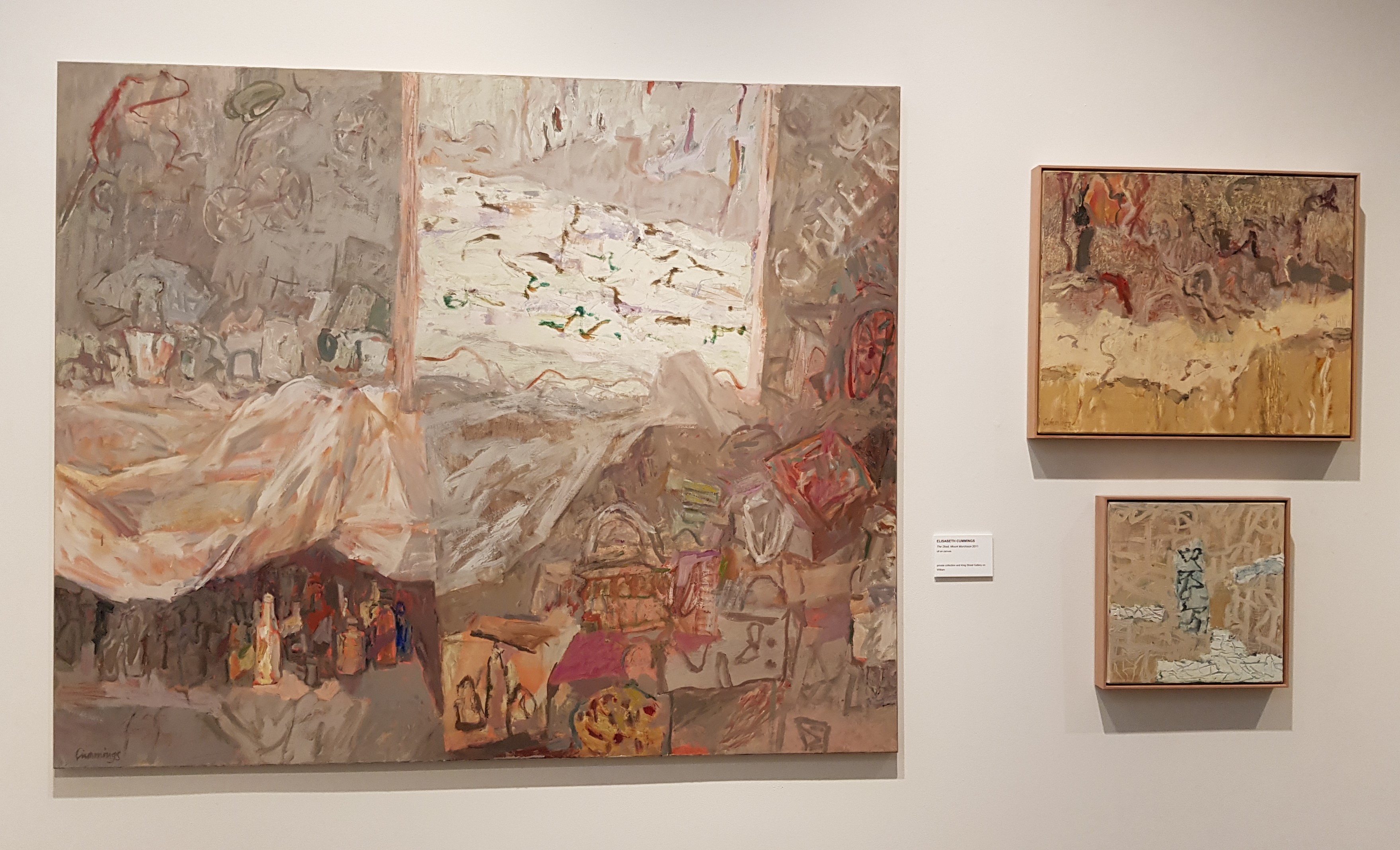 Elizabeth Cummings, The shed, Mount Murchison, 2011