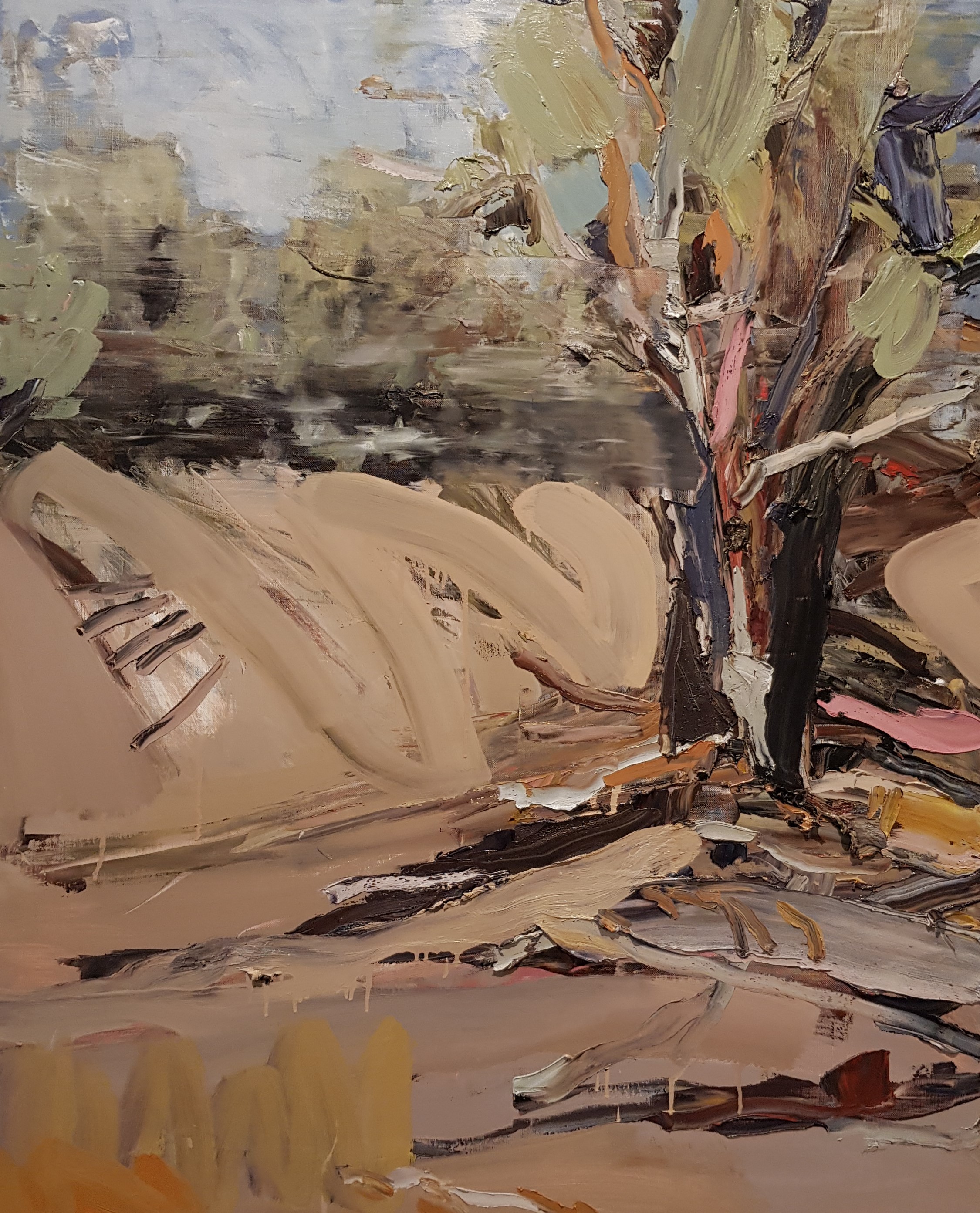 Guy Maestri, The broken river, 2019