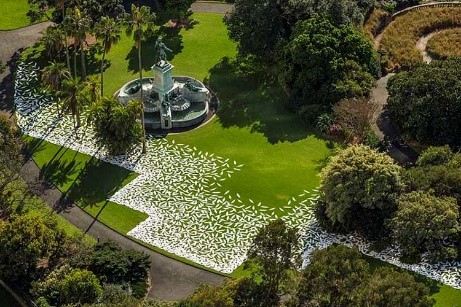 Aerial view of Jonathan Jones' barrangal dyara (skin and bones), 2016