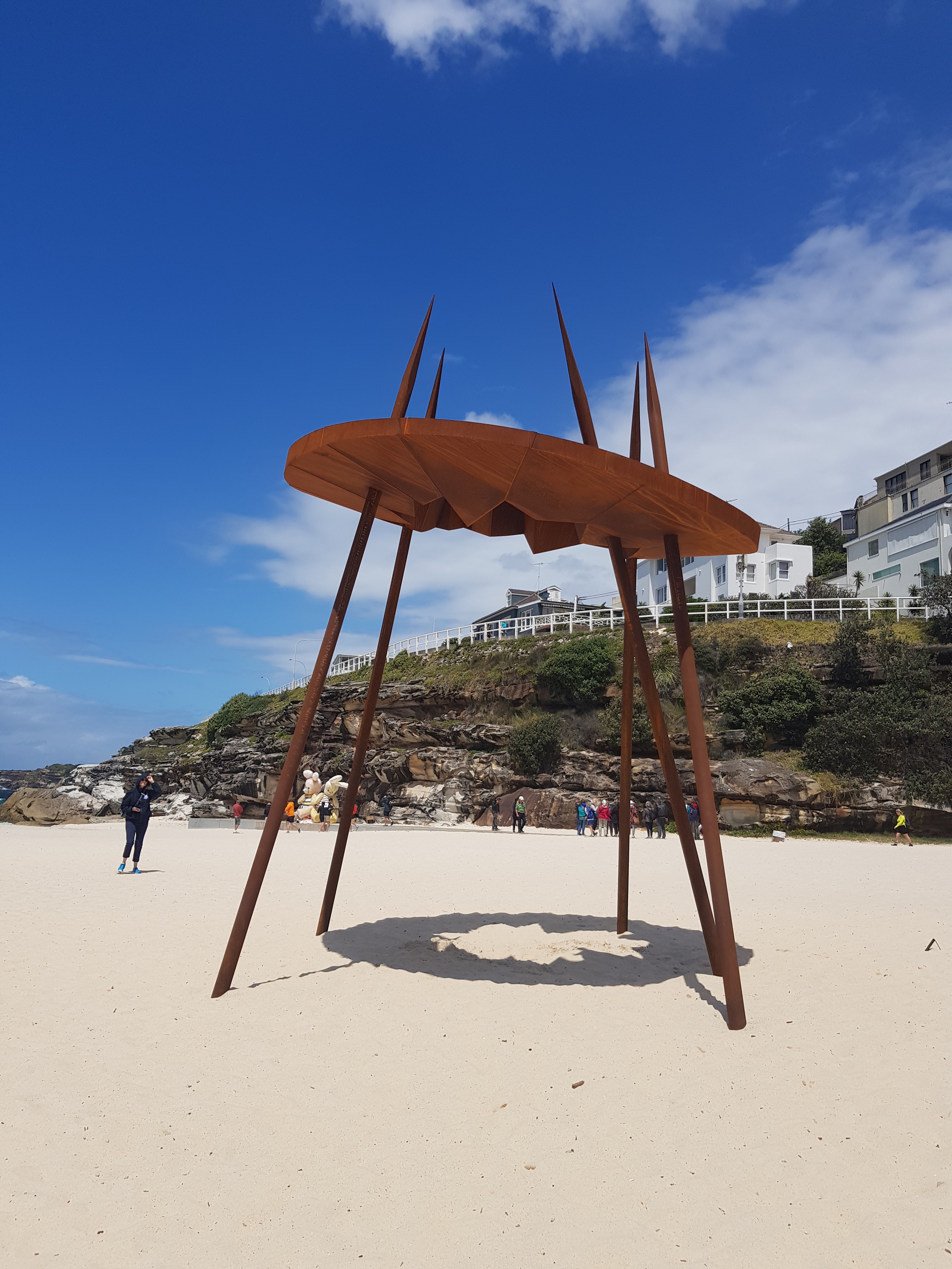 David Ball (NSW) Celest