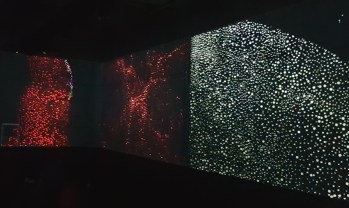 Daniel Boyd video works 3
