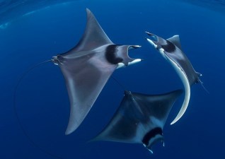 A Swirl of Rays, Philippines, Duncan Murrell, U