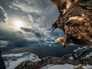 Land of the Eagle, Audun Rikardsen, Norway